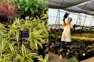The Greenhouse Shop: Where Plants Go To Grow